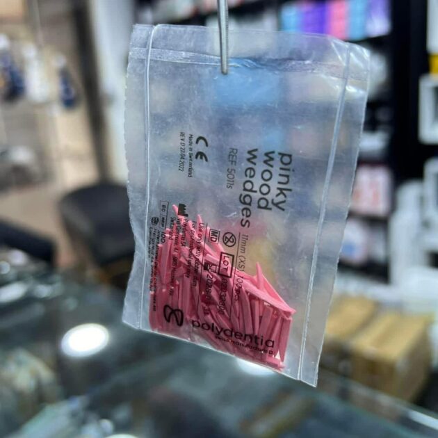 CONE EN BOIS POLYDENTIA