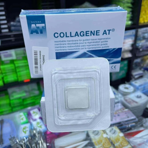 MEMBRANE COLLAGENE AT